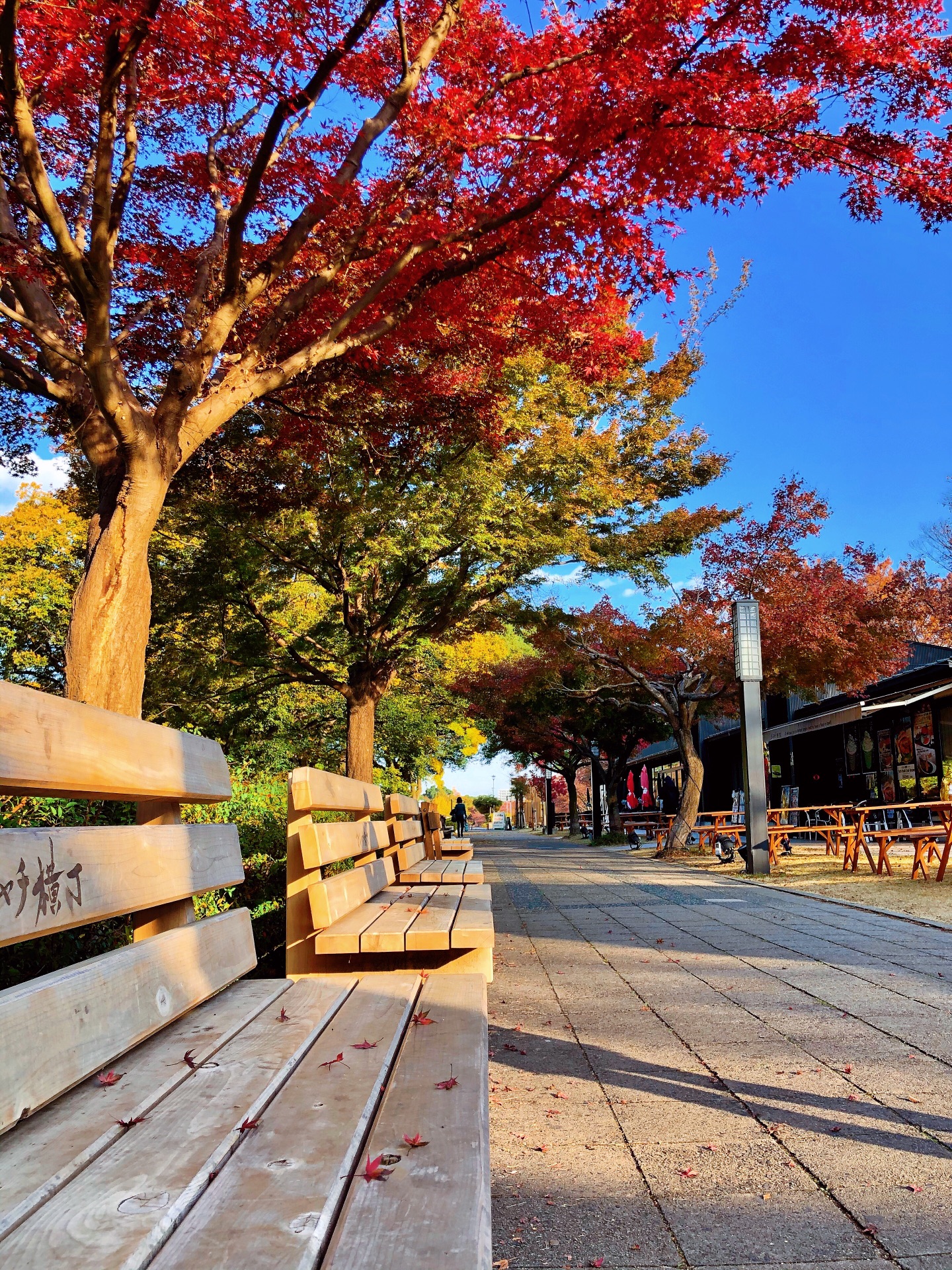 名古屋自助遊攻略