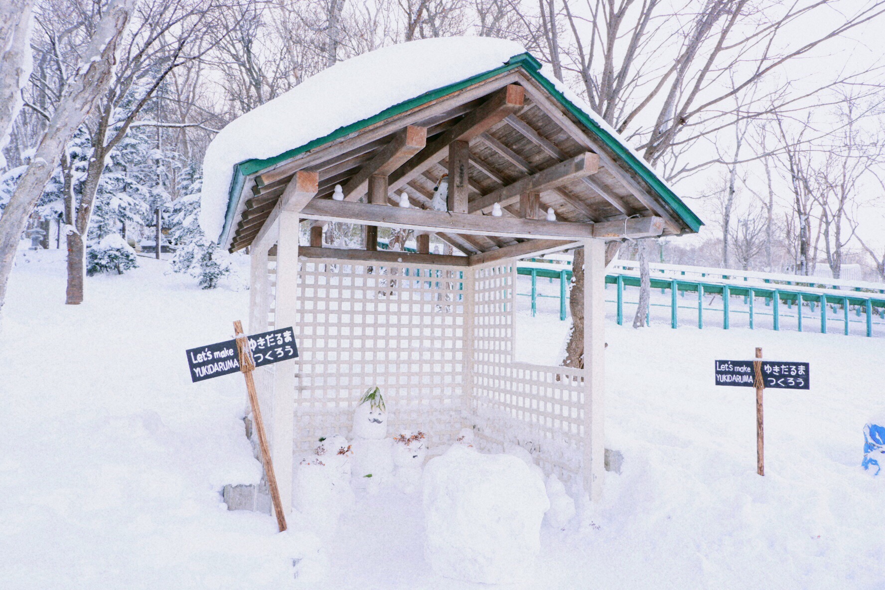 北海道自助遊攻略