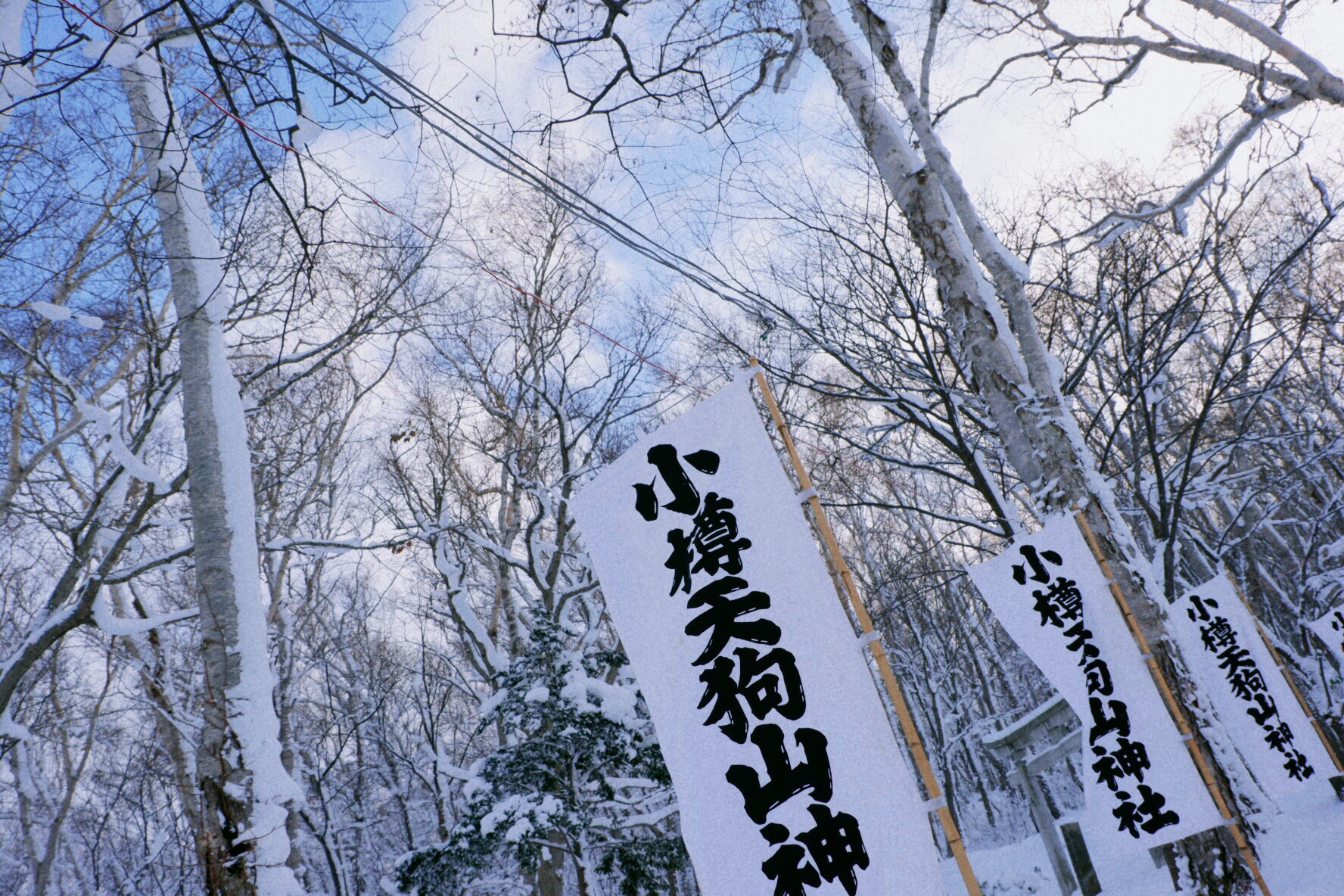 北海道自助遊攻略