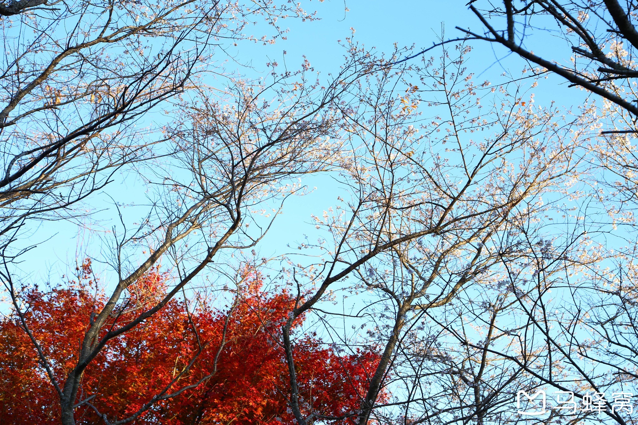 名古屋自助遊攻略