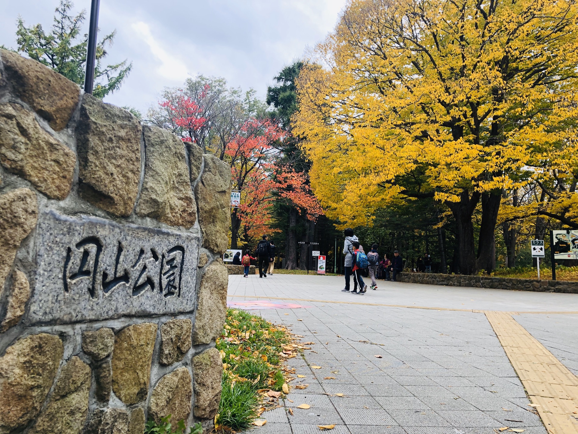 北海道自助遊攻略