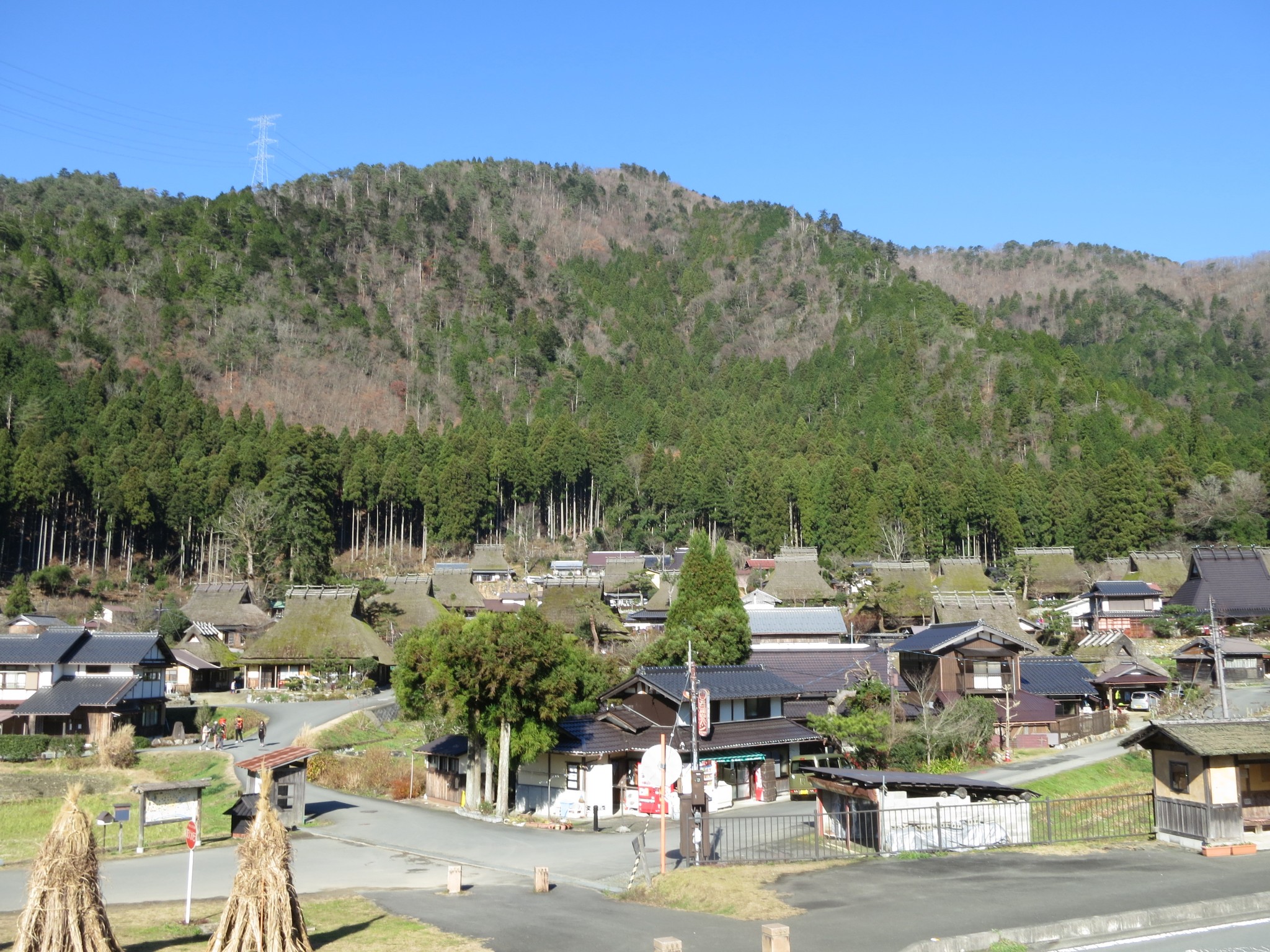 京都自助遊攻略