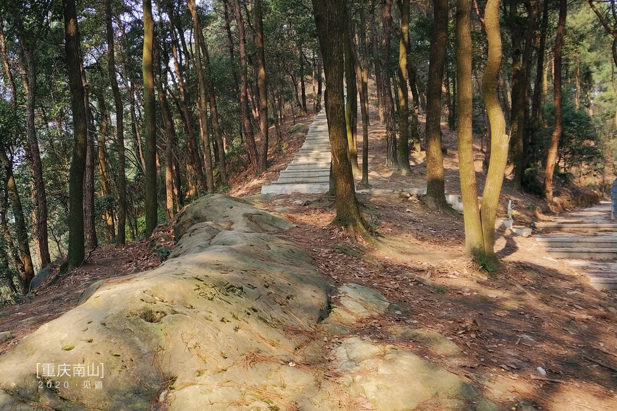 重庆南山登山步道山间步道徒步路线进阶篇