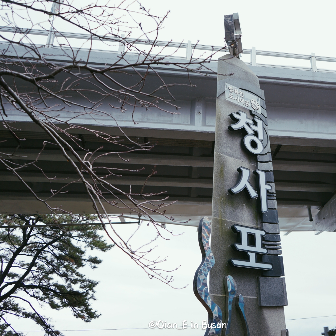 釜山自助遊攻略