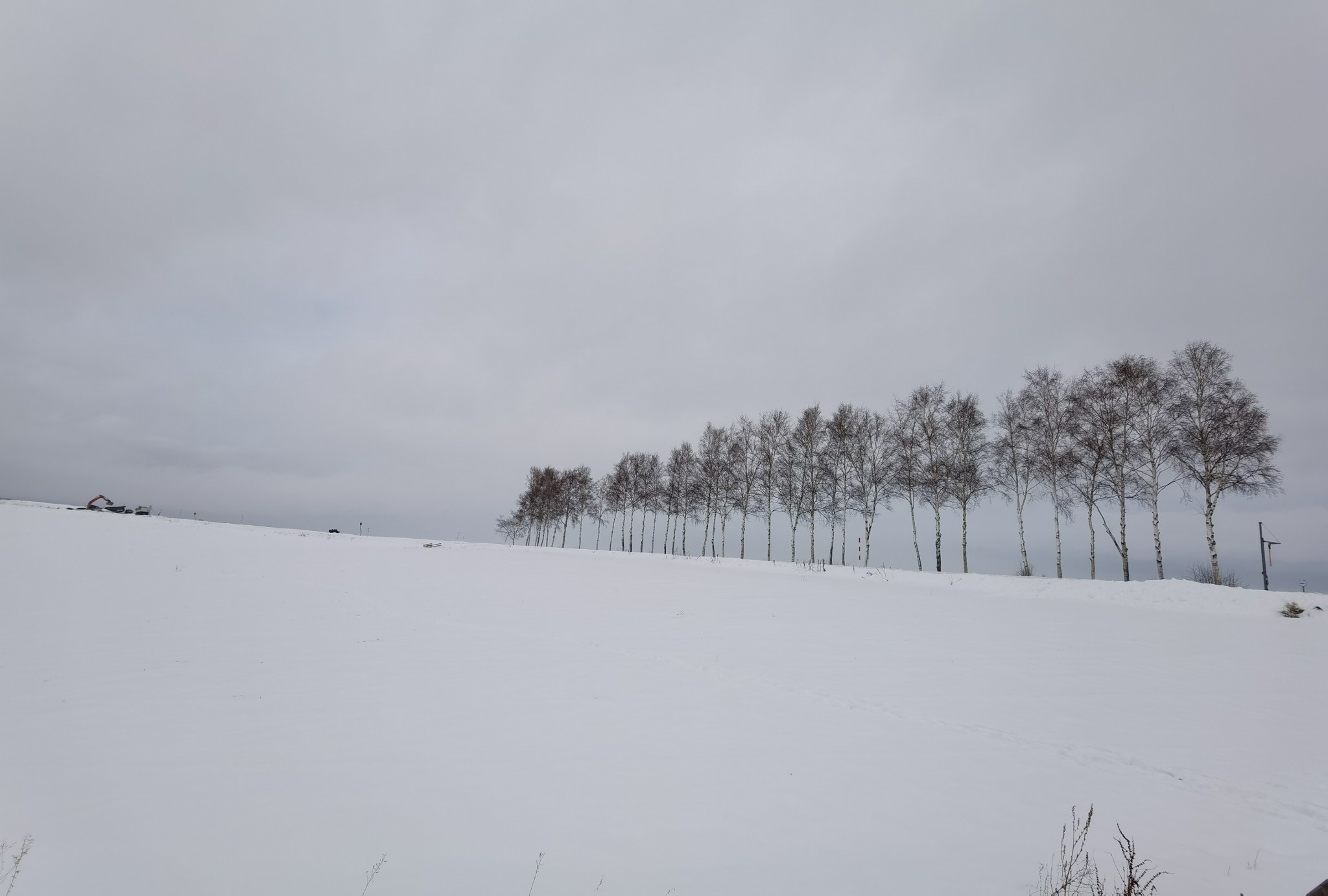 北海道自助遊攻略