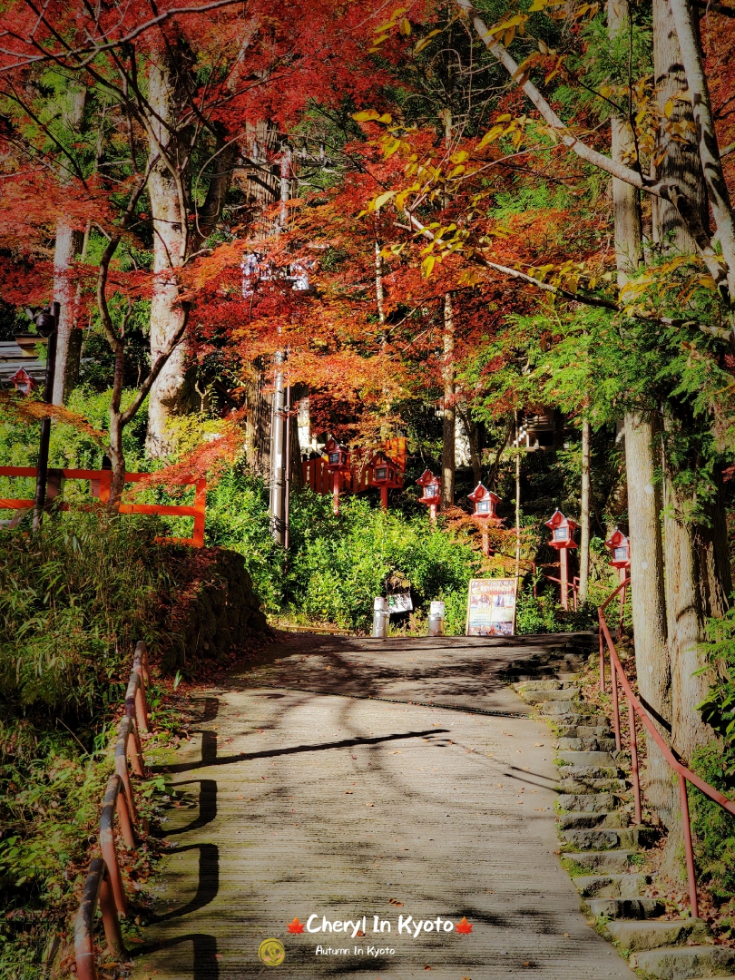 京都自助遊攻略