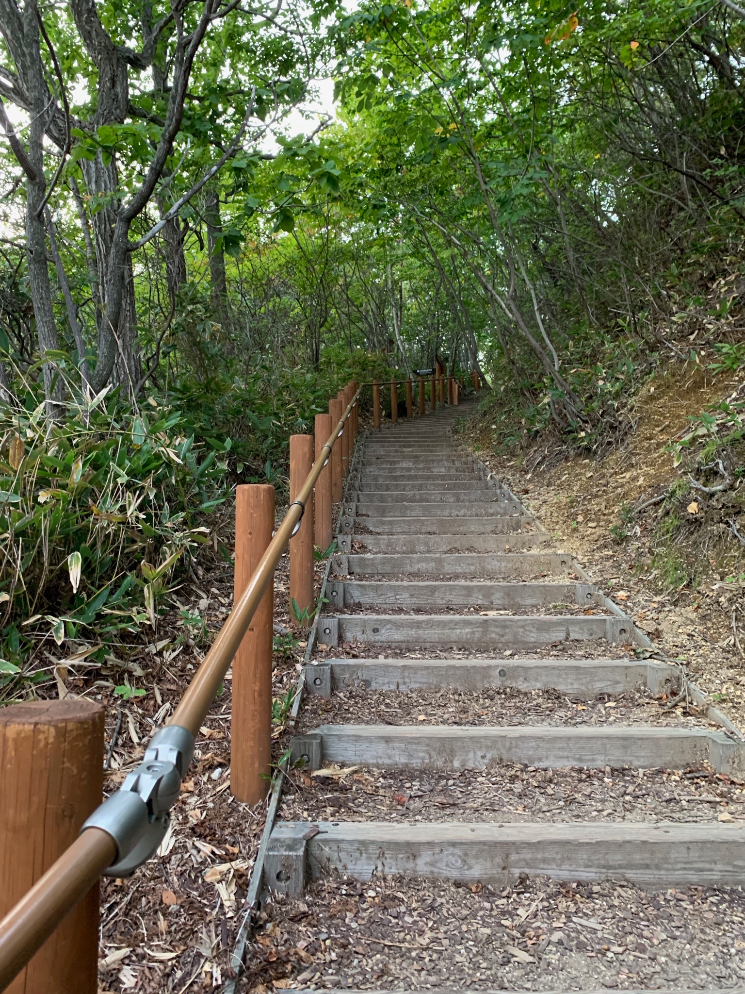 北海道自助遊攻略