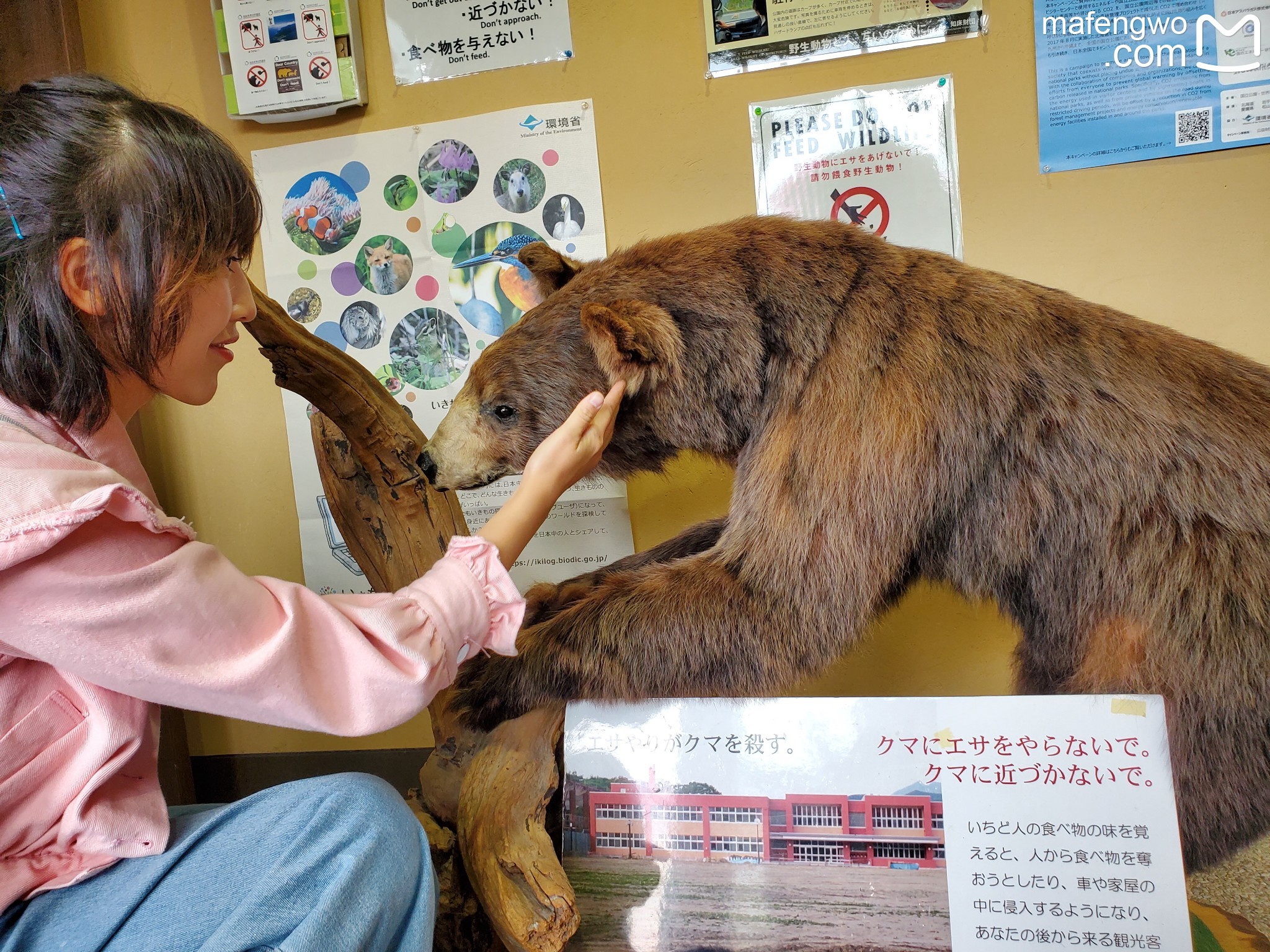 北海道自助遊攻略