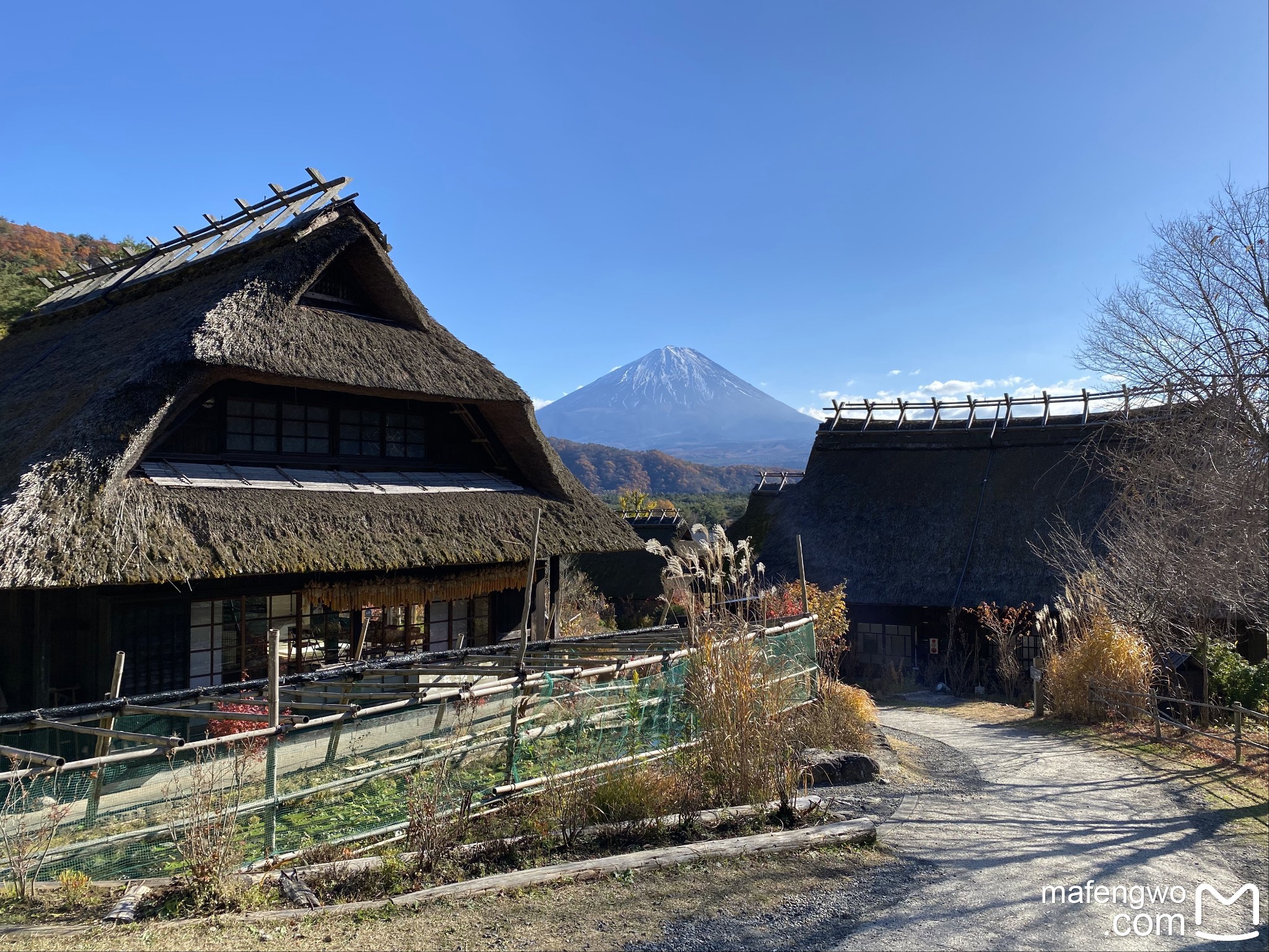 富士山自助遊攻略