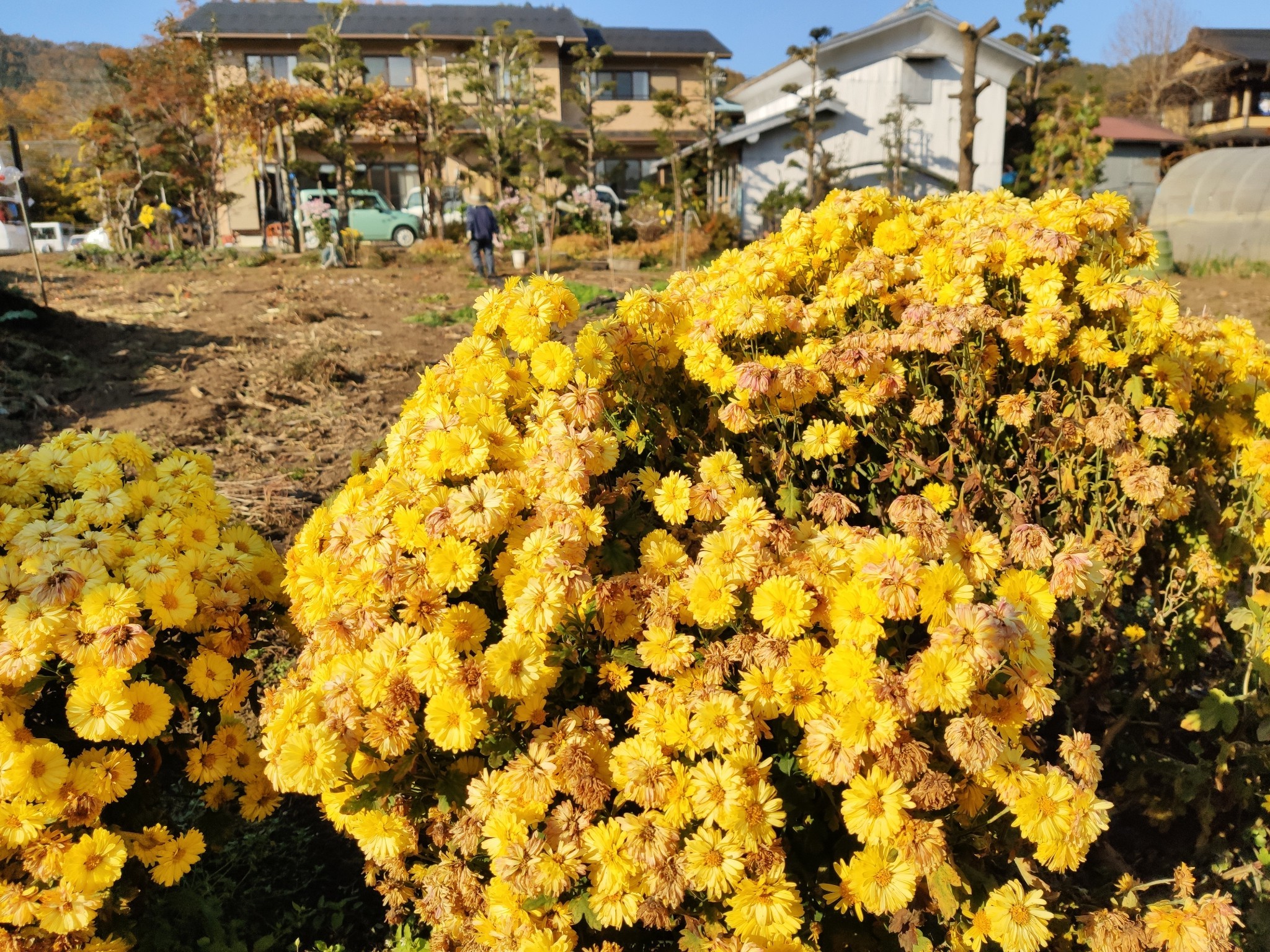 富士山自助遊攻略