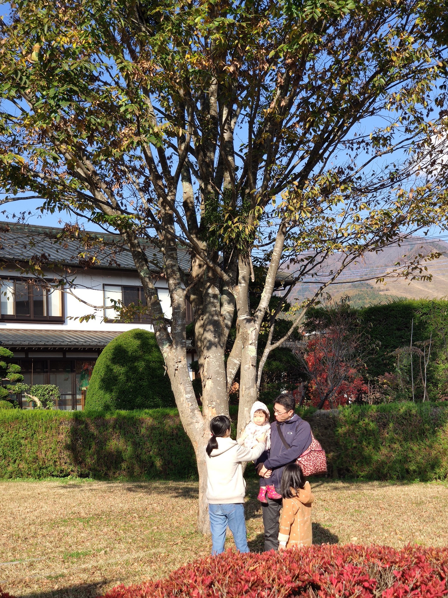 富士山自助遊攻略