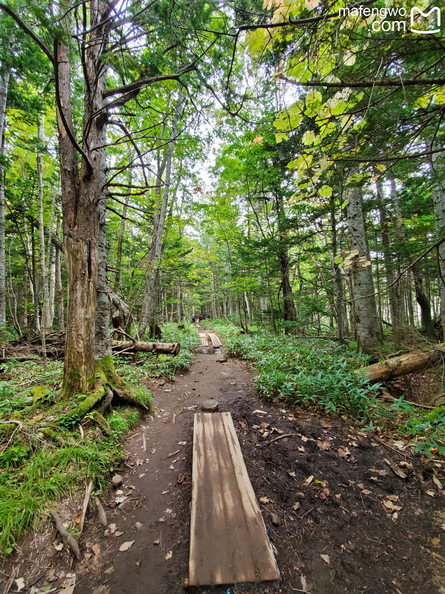 北海道自助遊攻略