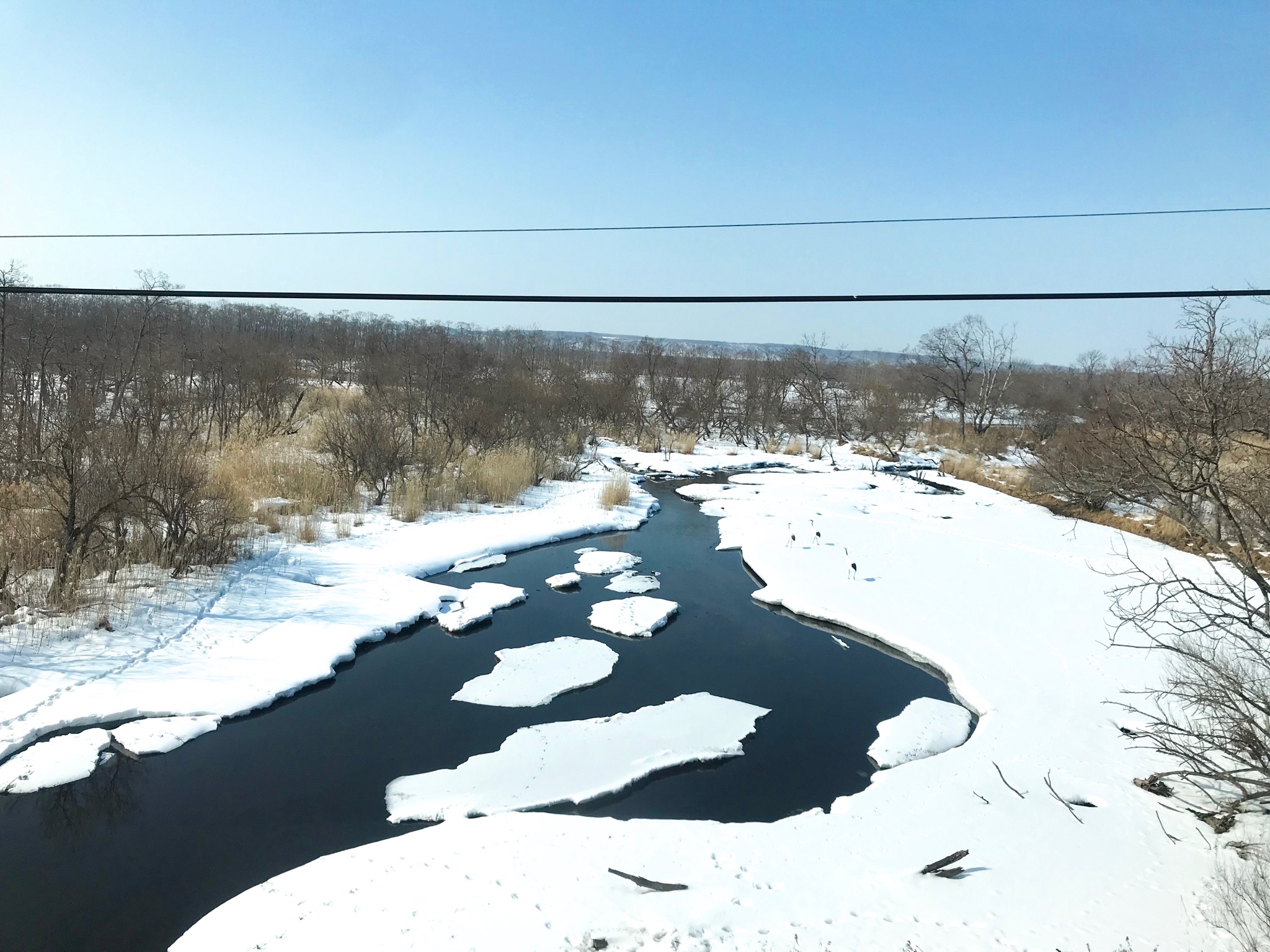 北海道自助遊攻略