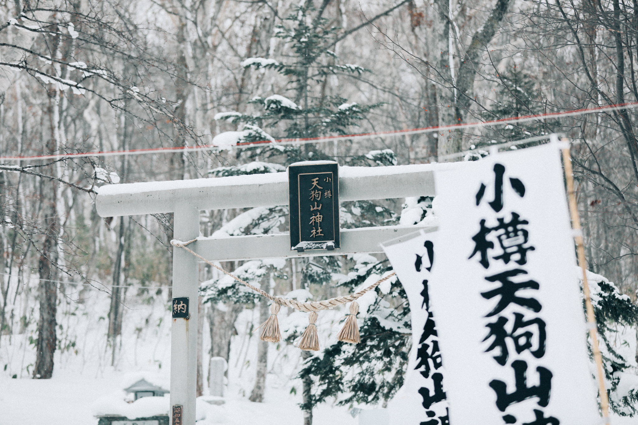 北海道自助遊攻略