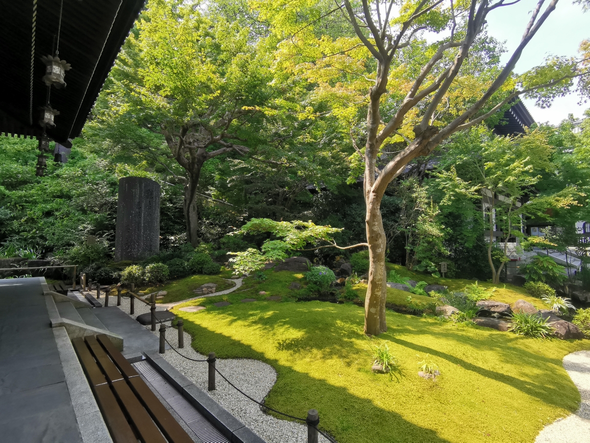 東京自助遊攻略