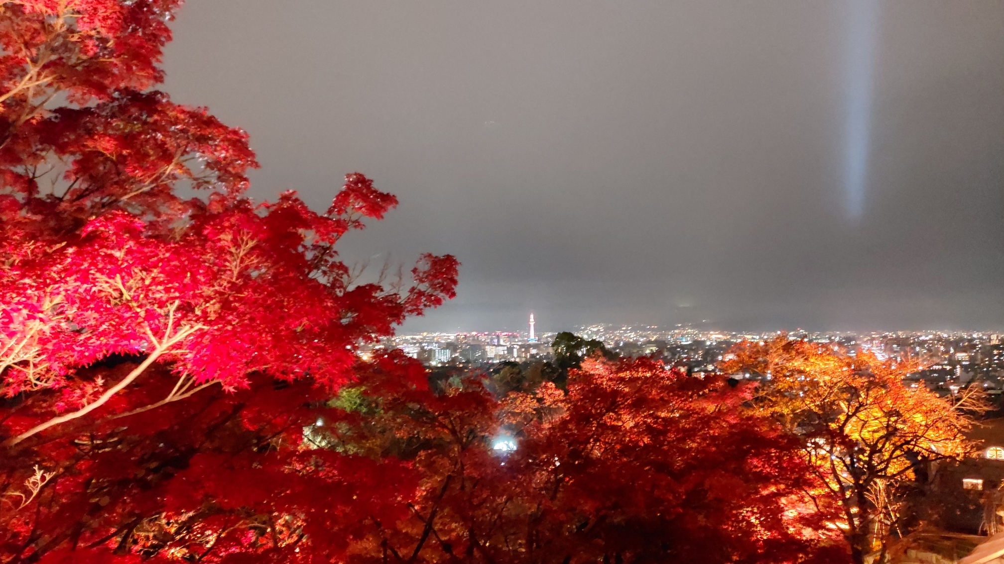 京都自助遊攻略