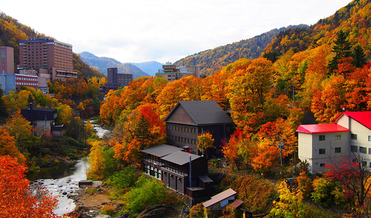 旭川市,旭川市自由行,马蜂窝旭川市自由行产品 - 马蜂窝自由行