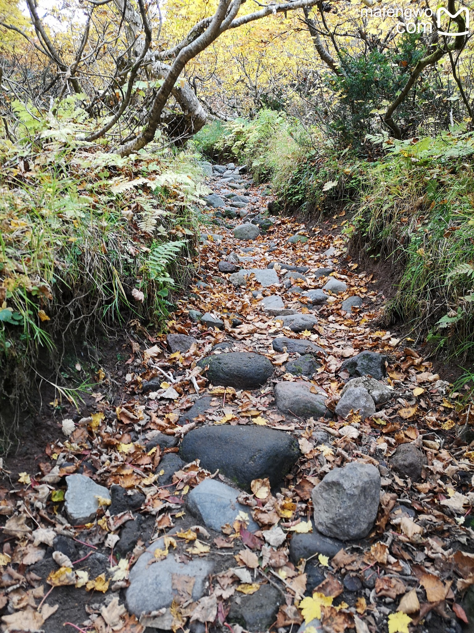 北海道自助遊攻略