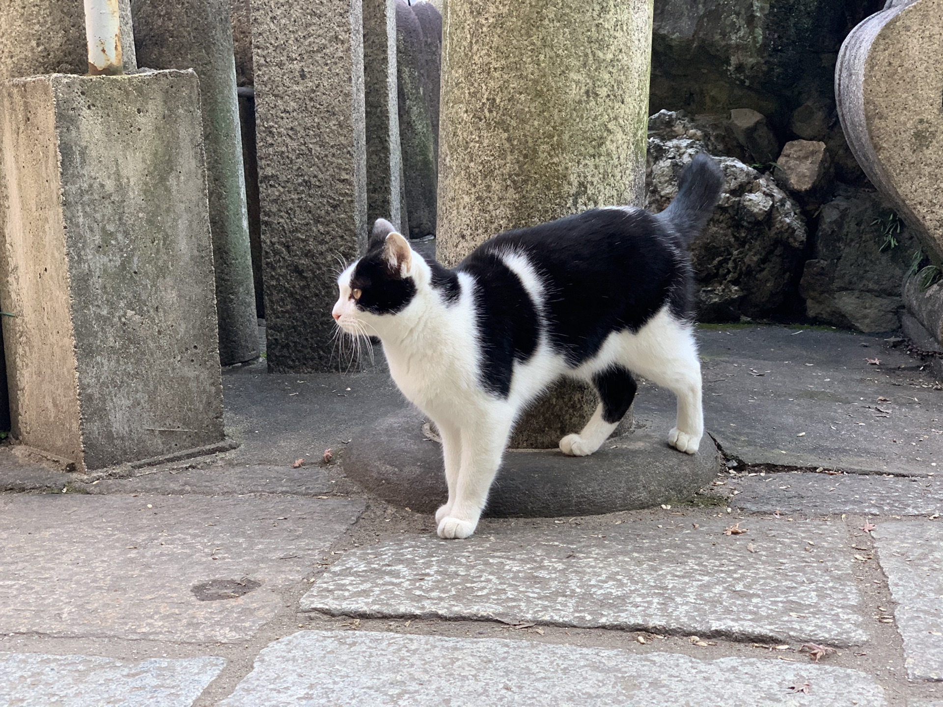 名古屋自助遊攻略