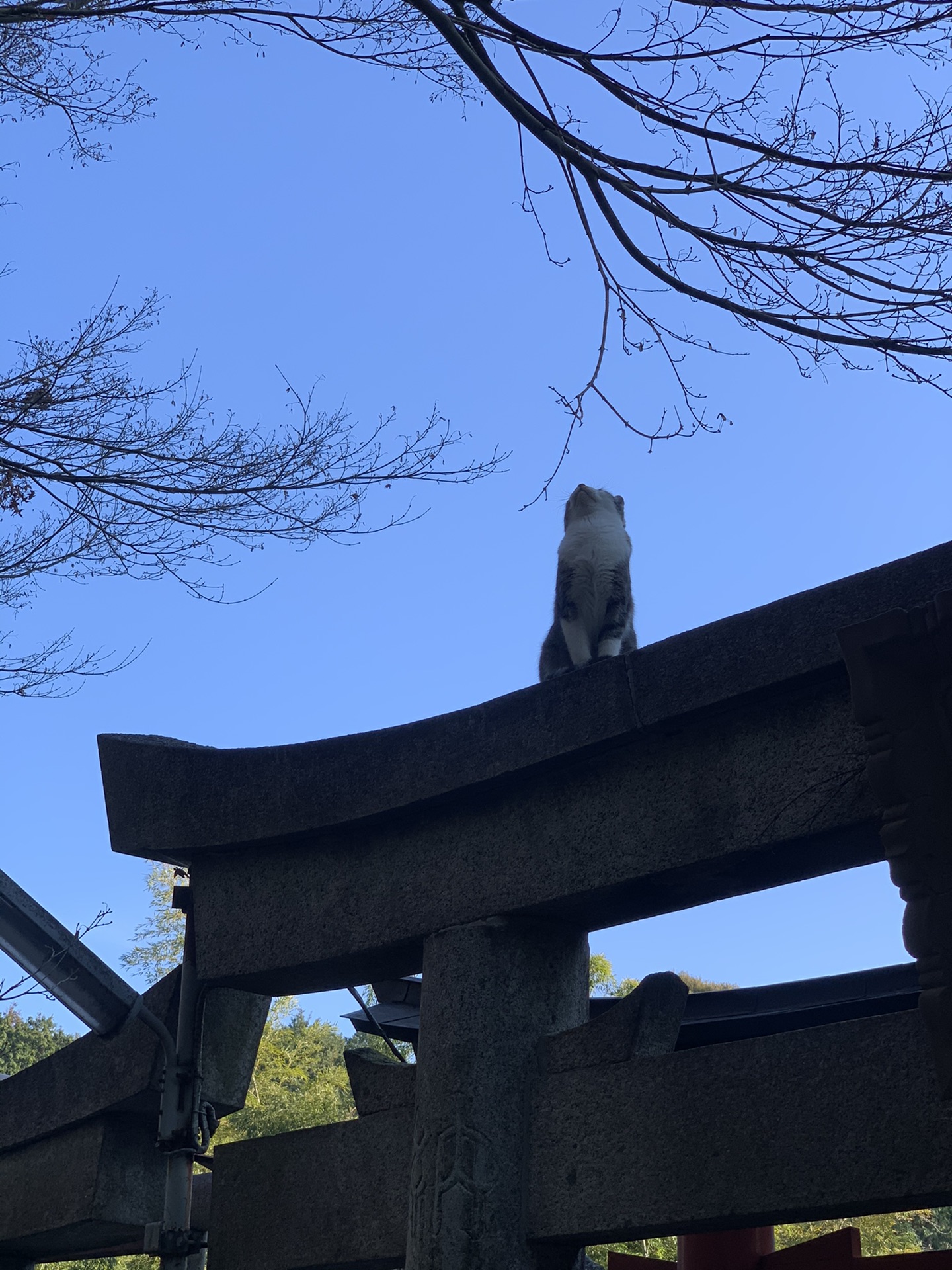 名古屋自助遊攻略