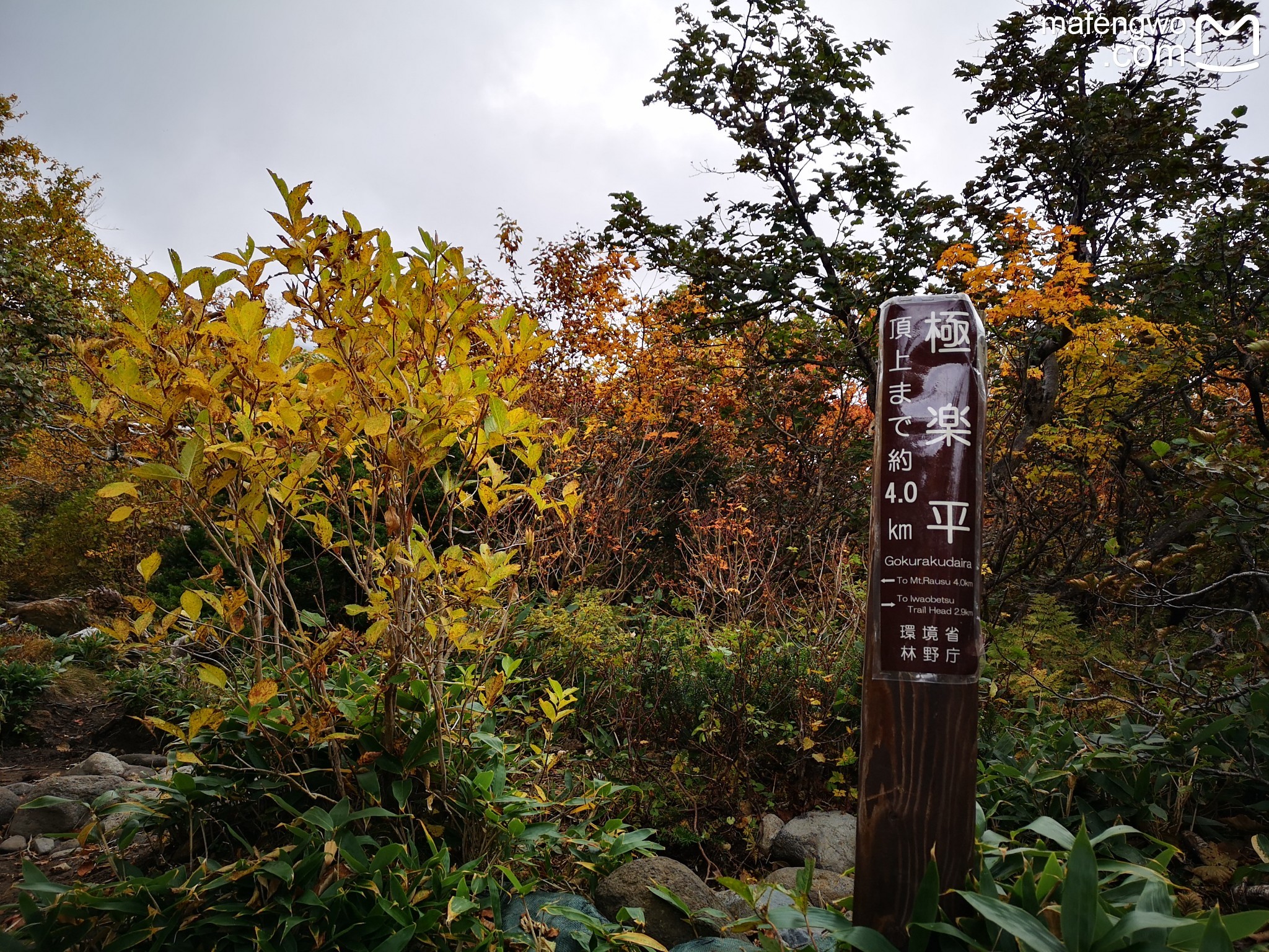 北海道自助遊攻略