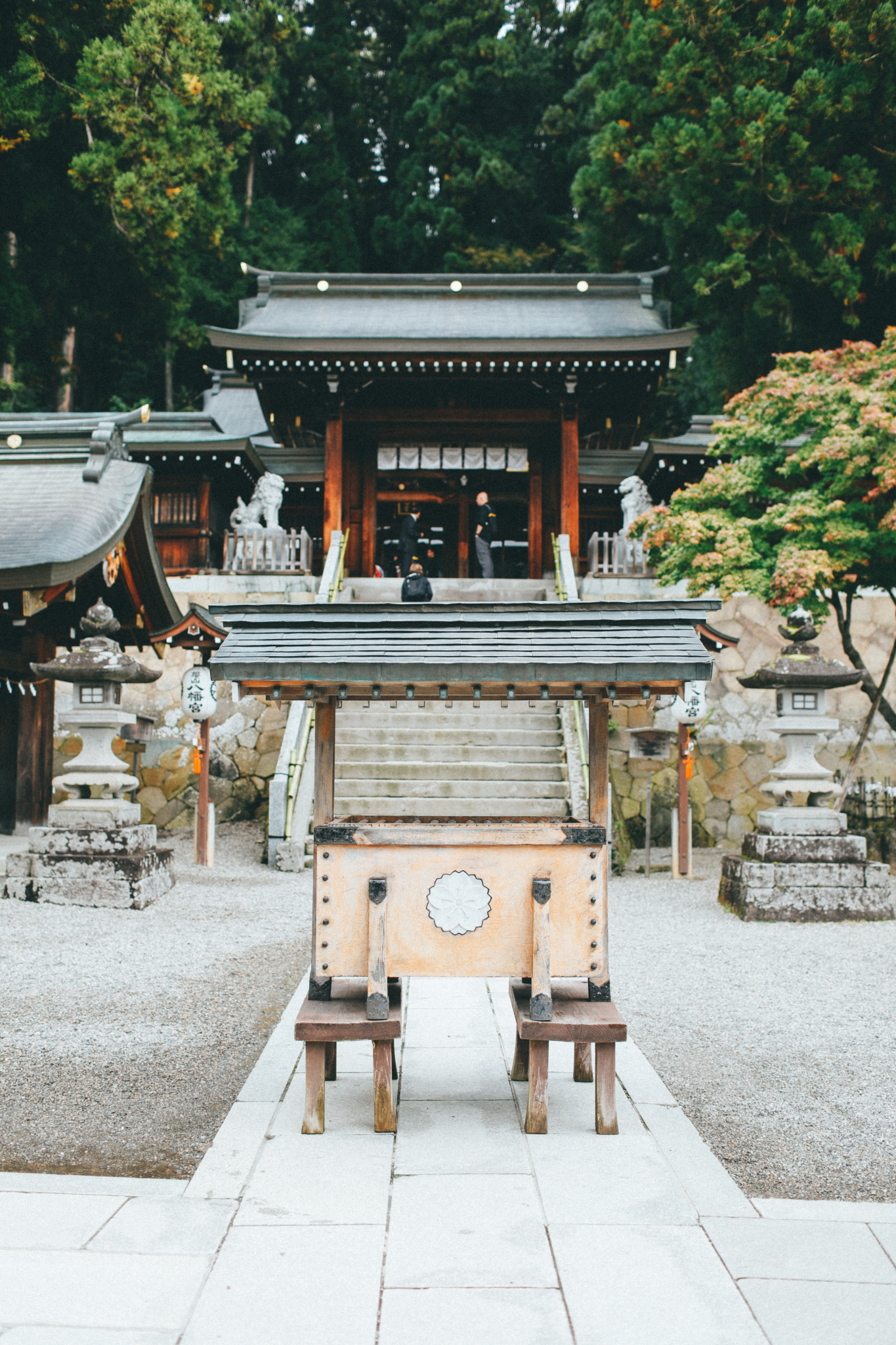 名古屋自助遊攻略