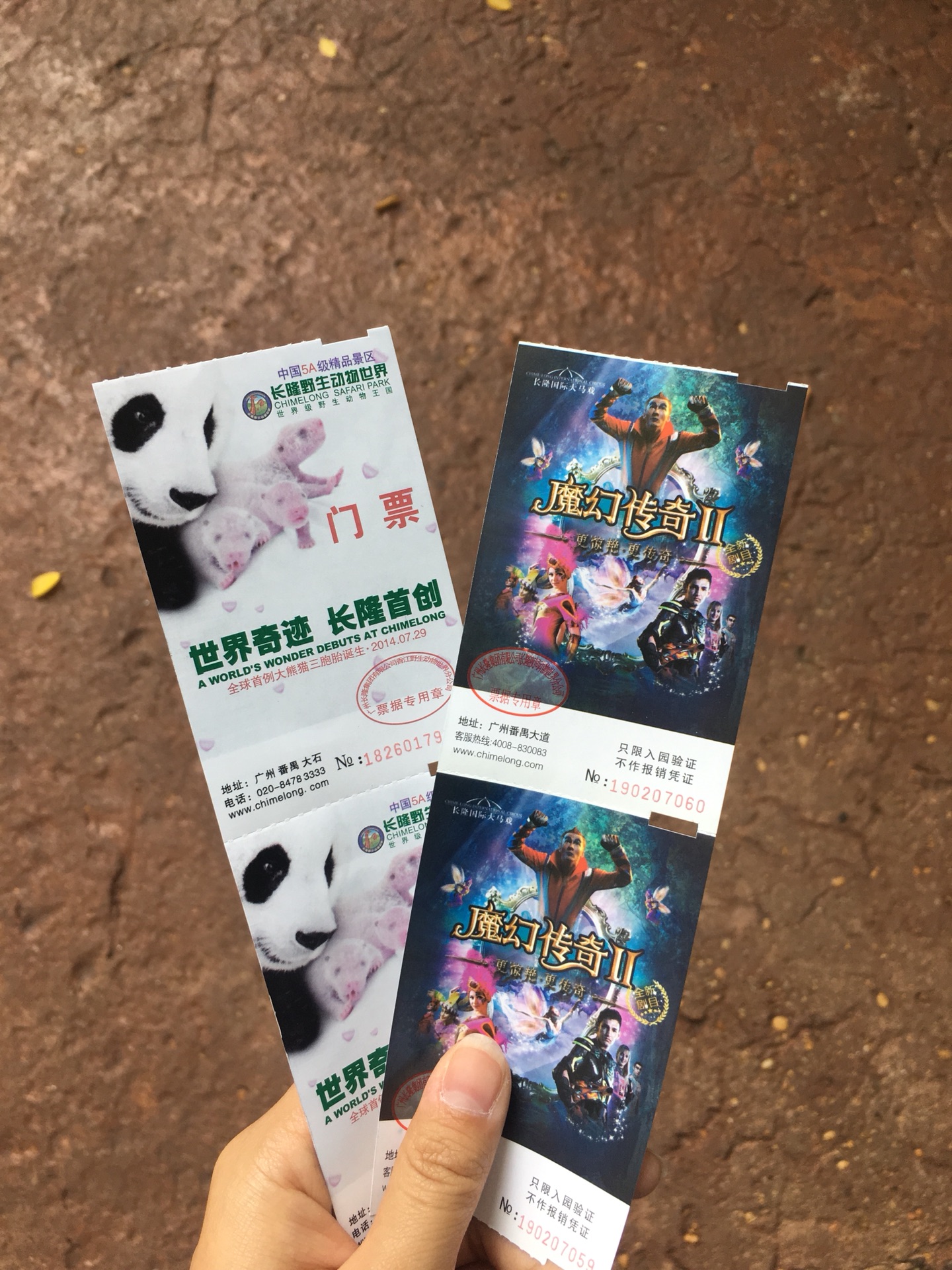 广州长隆野生动物园长隆国际大马戏一日游.不走回头路,必看_游记