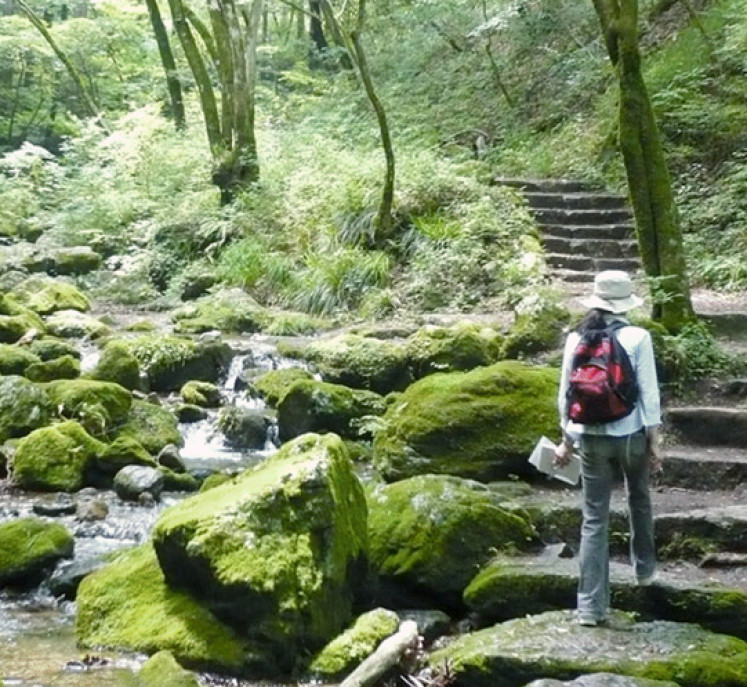 东京近郊能同时享受丰富自然和温泉的两个秘境 手机马蜂窝