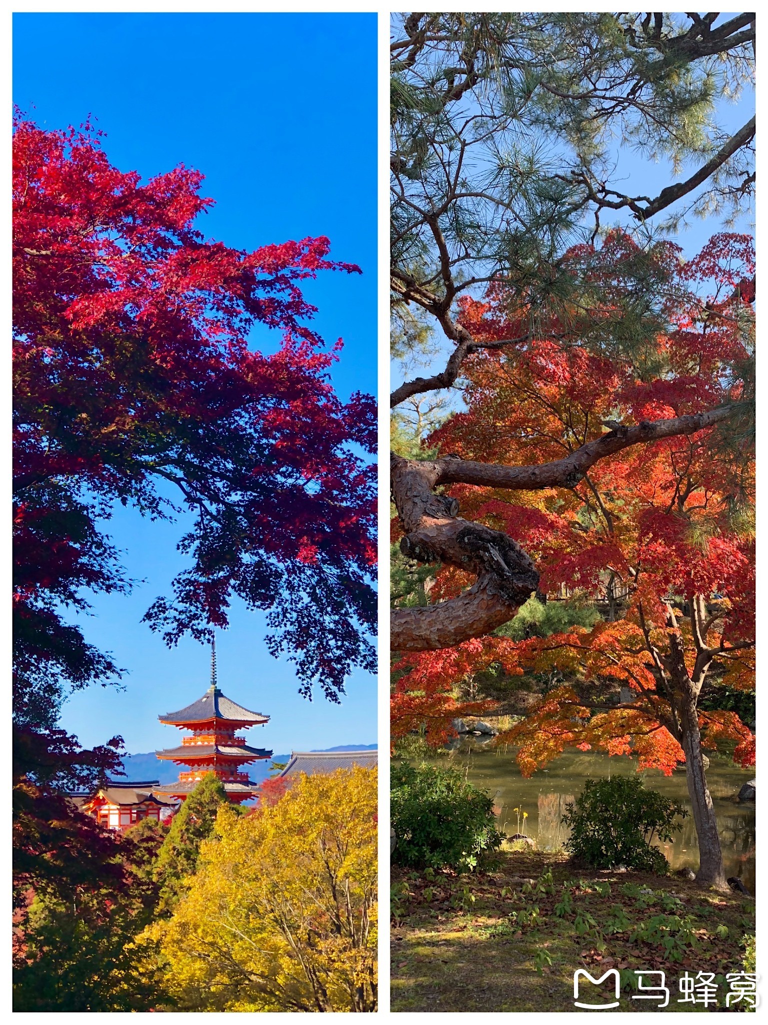 東京自助遊攻略