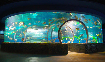 北海海洋之窗电子门票(国家4a级景区含水母馆/珊瑚馆/全国科普教育