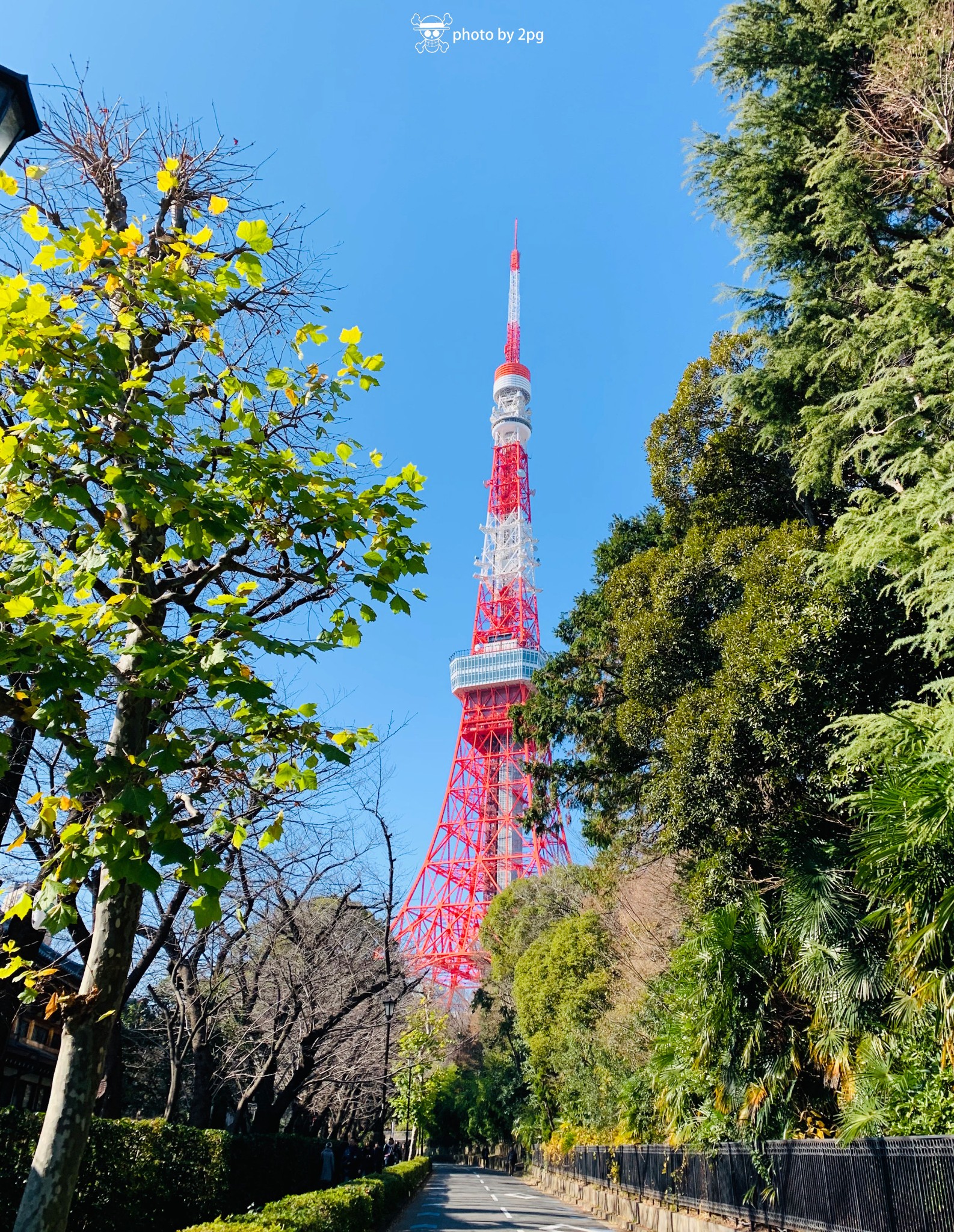 東京自助遊攻略