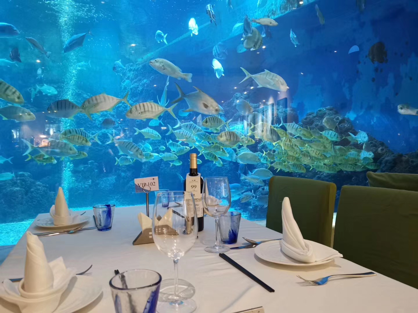 海洋主题海蓝餐厅(含边用餐边欣赏海底世界 晚餐潜水员喂鱼秀)· 三亚