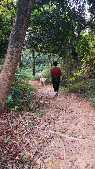 威水水汇旅游图片,威水水汇自助游图片,威水水汇旅游景点照片 - 马