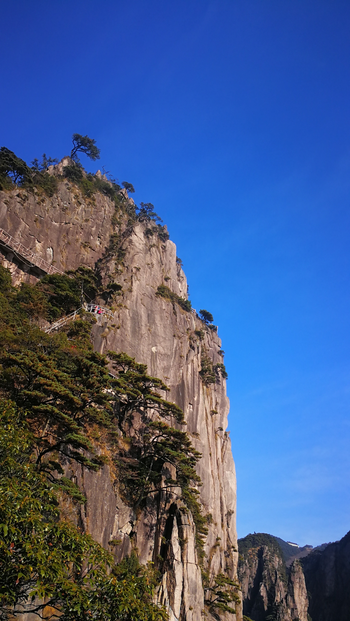 登黃山,天下無山,黃山旅遊攻略 - 馬蜂窩