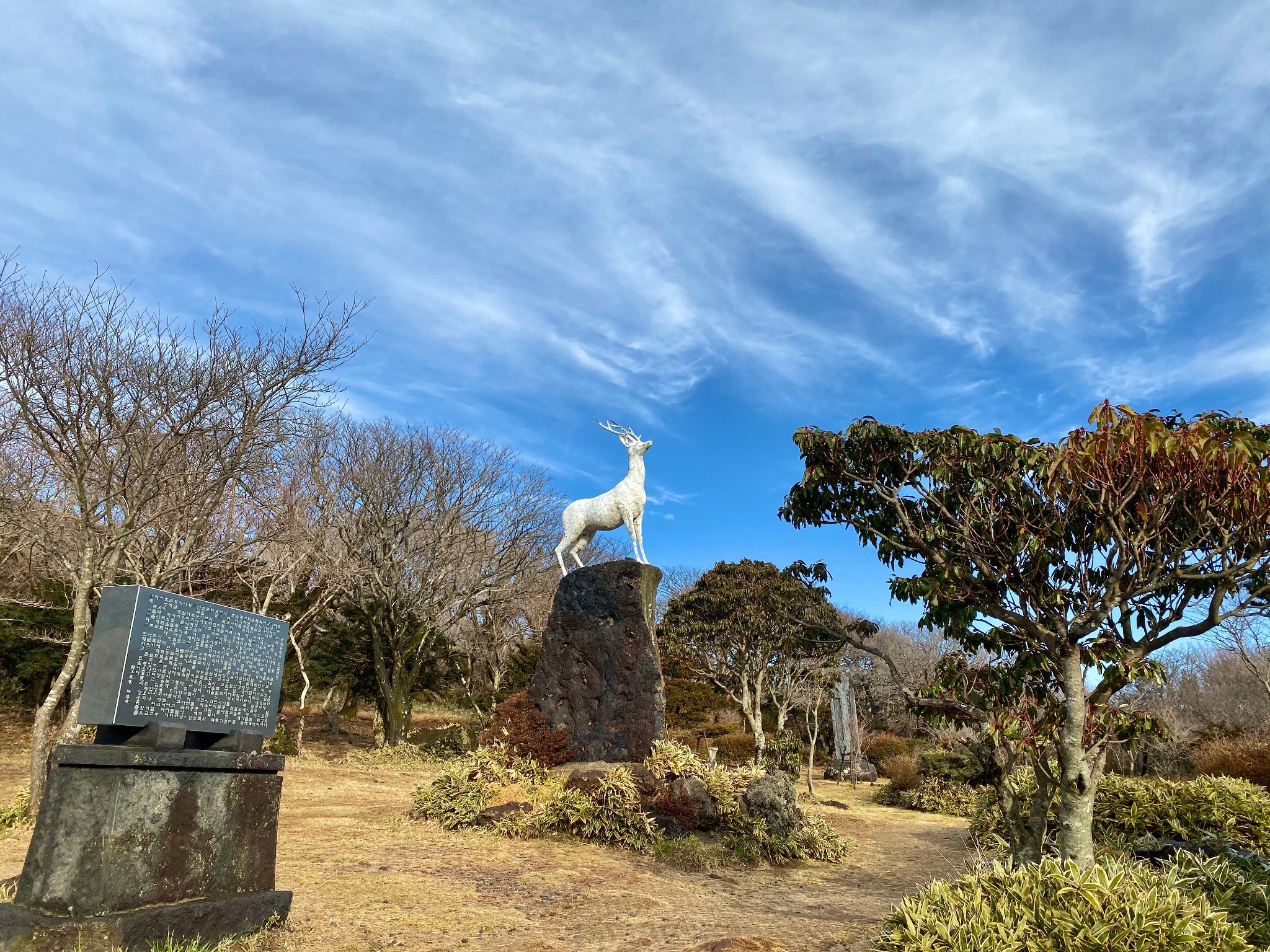 濟州島自助遊攻略