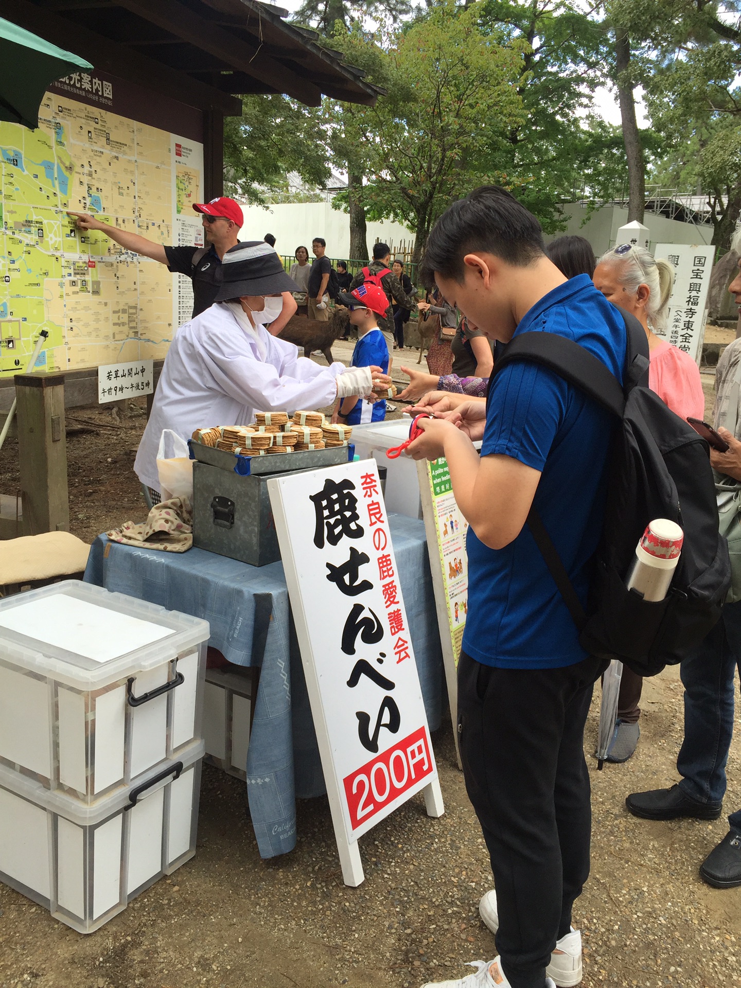 京都自助遊攻略