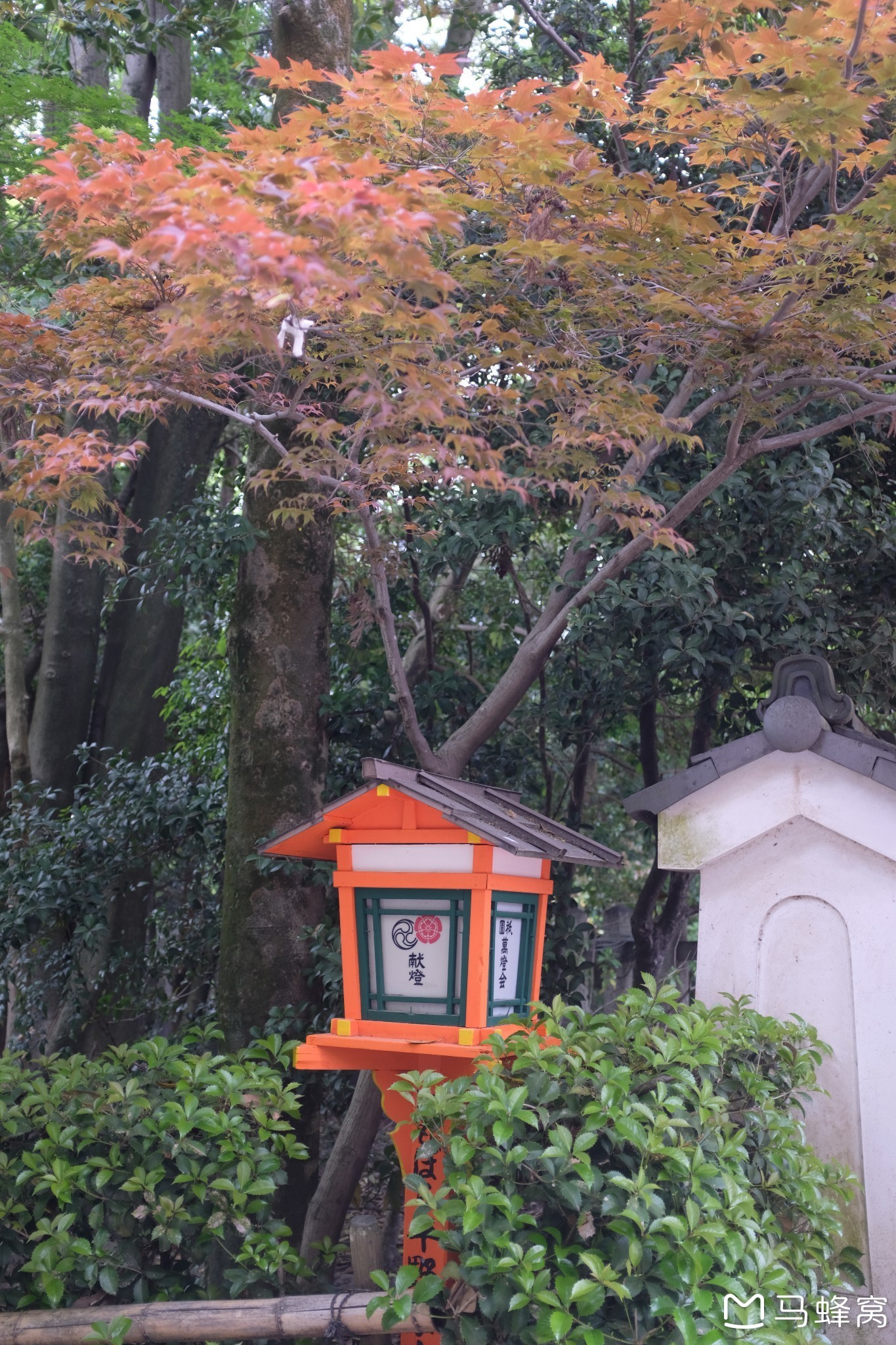 京都自助遊攻略