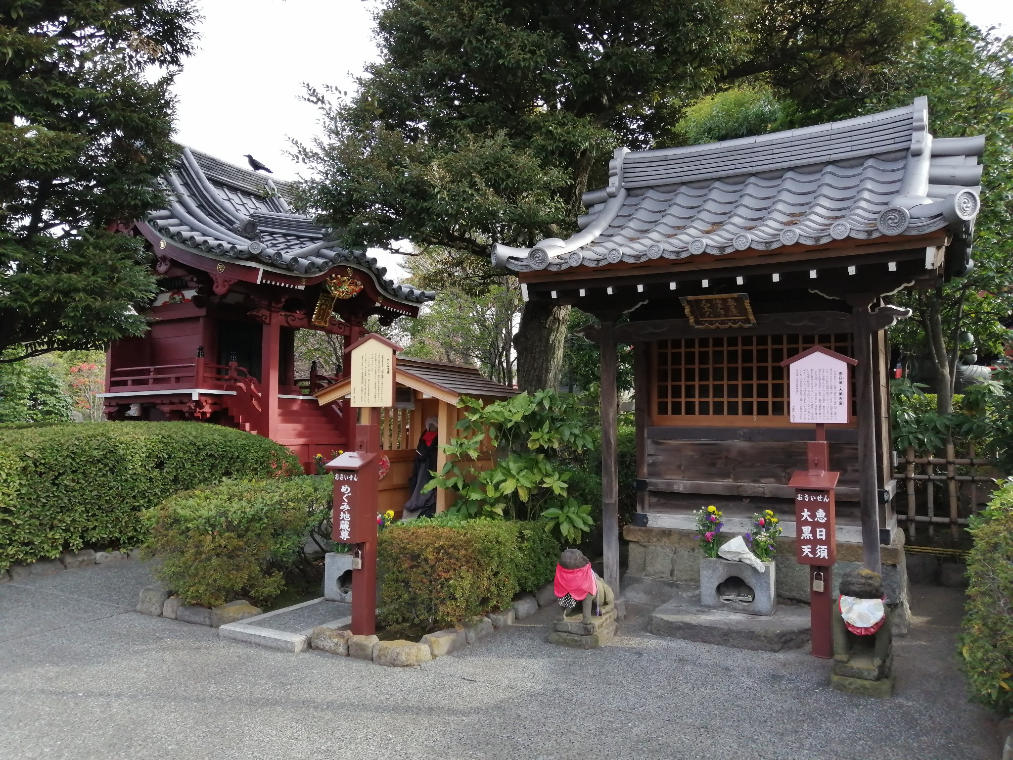 東京自助遊攻略