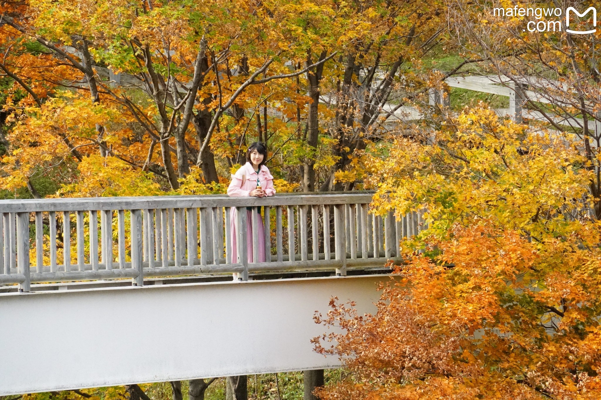 北海道自助遊攻略