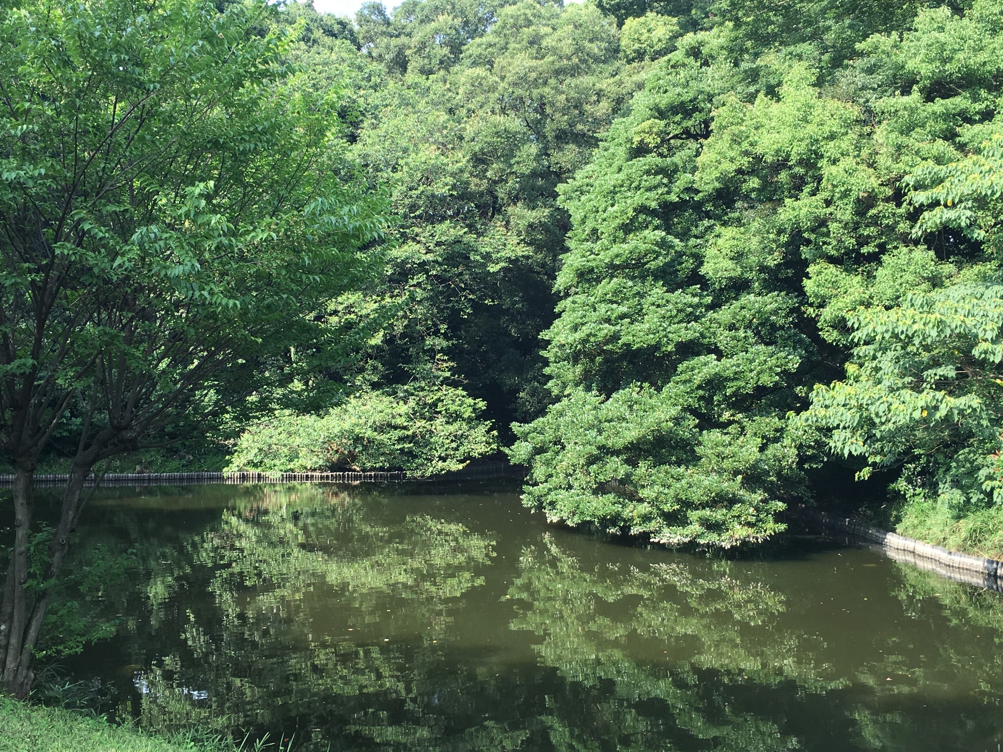 東京自助遊攻略