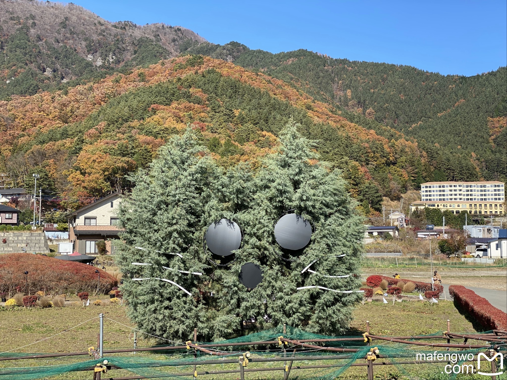 富士山自助遊攻略