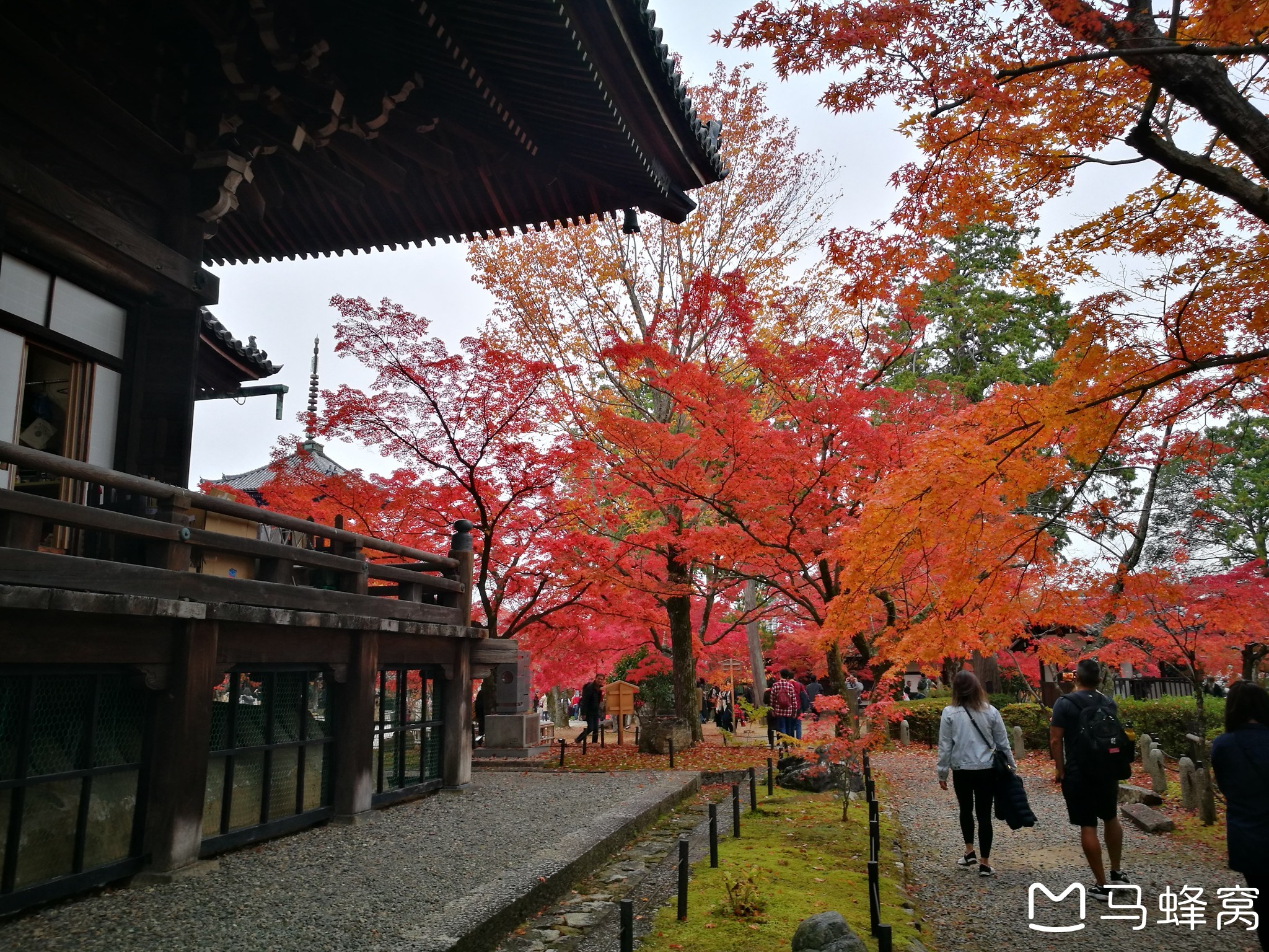 京都自助遊攻略