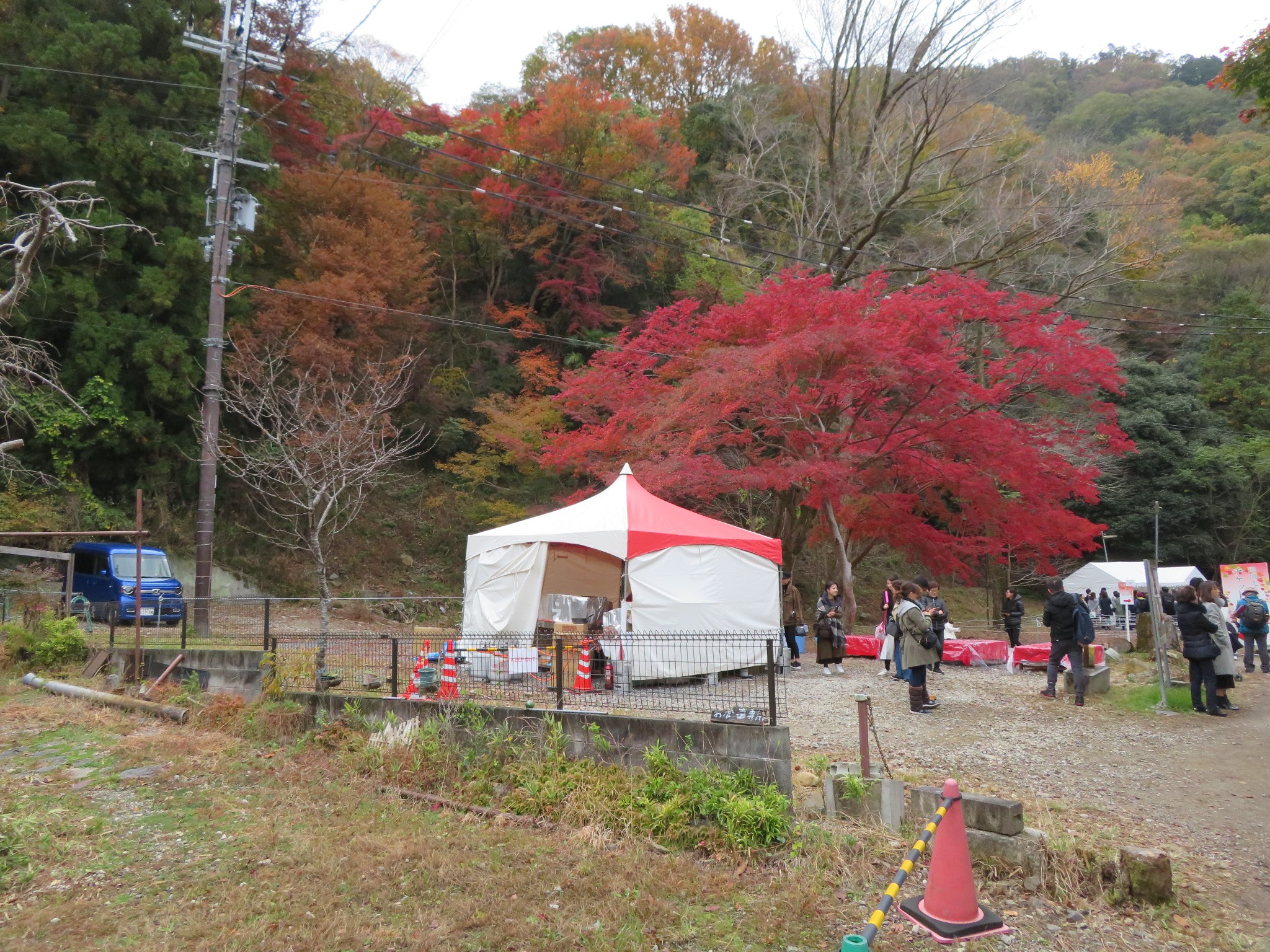 京都自助遊攻略