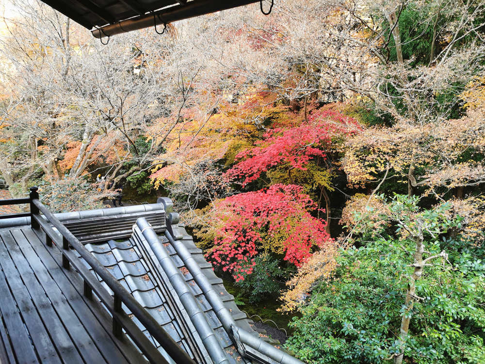 京都自助遊攻略