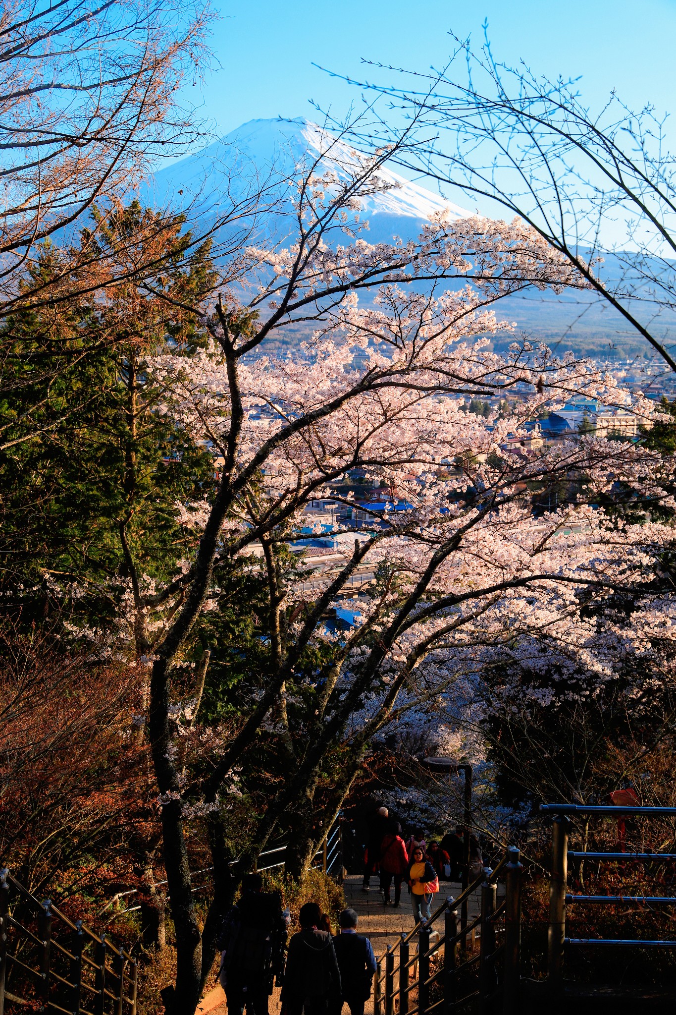 富士山自助遊攻略