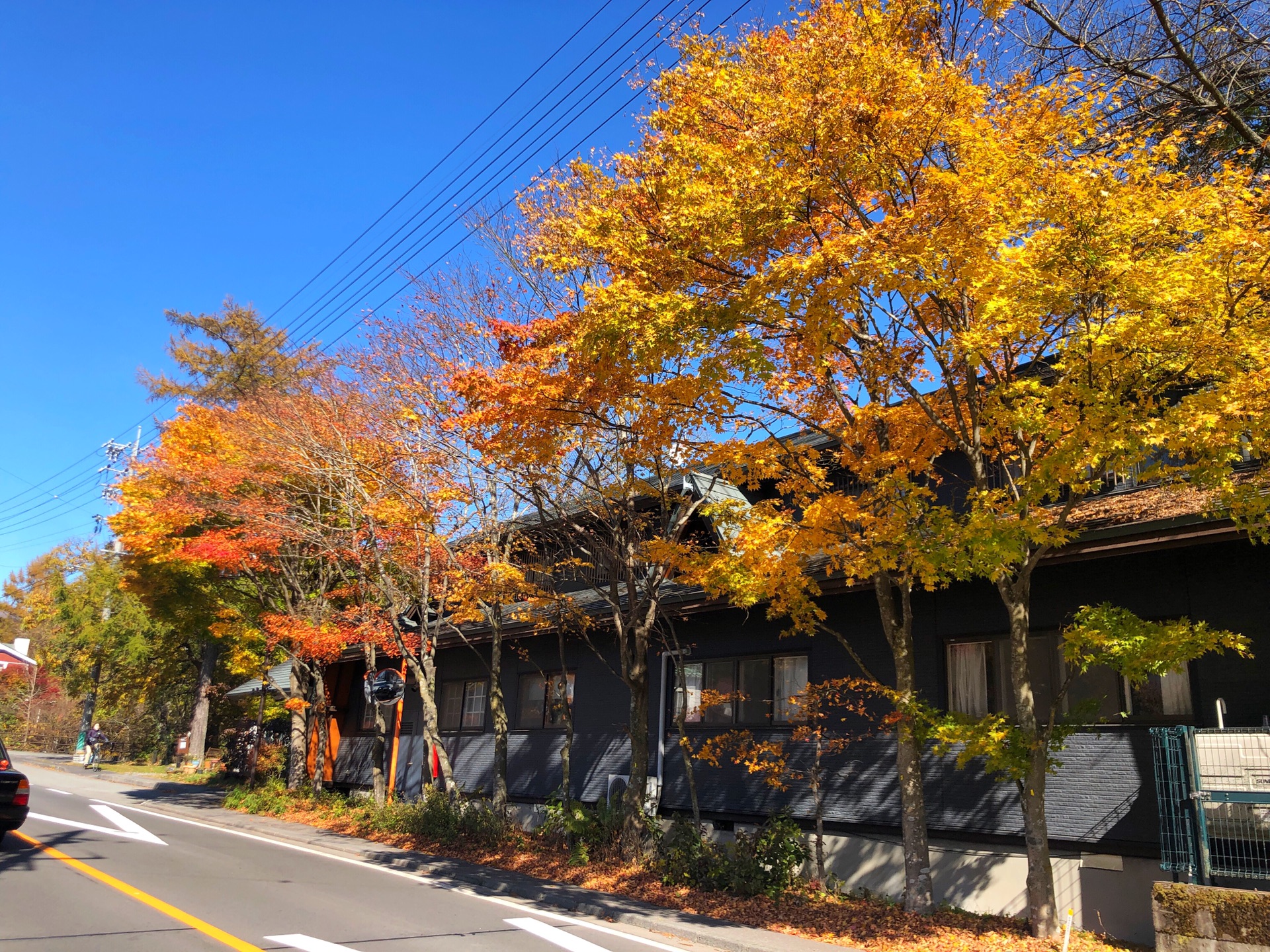 東京自助遊攻略