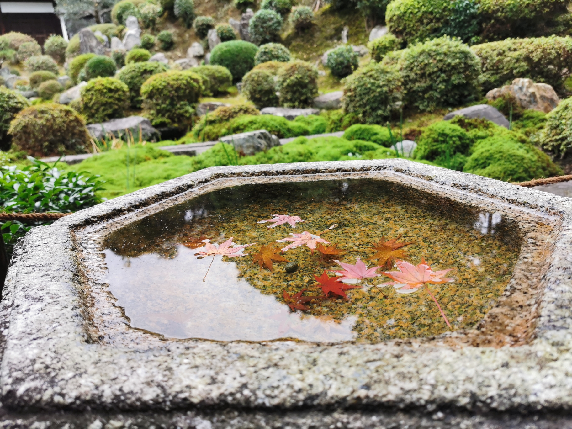 京都自助遊攻略