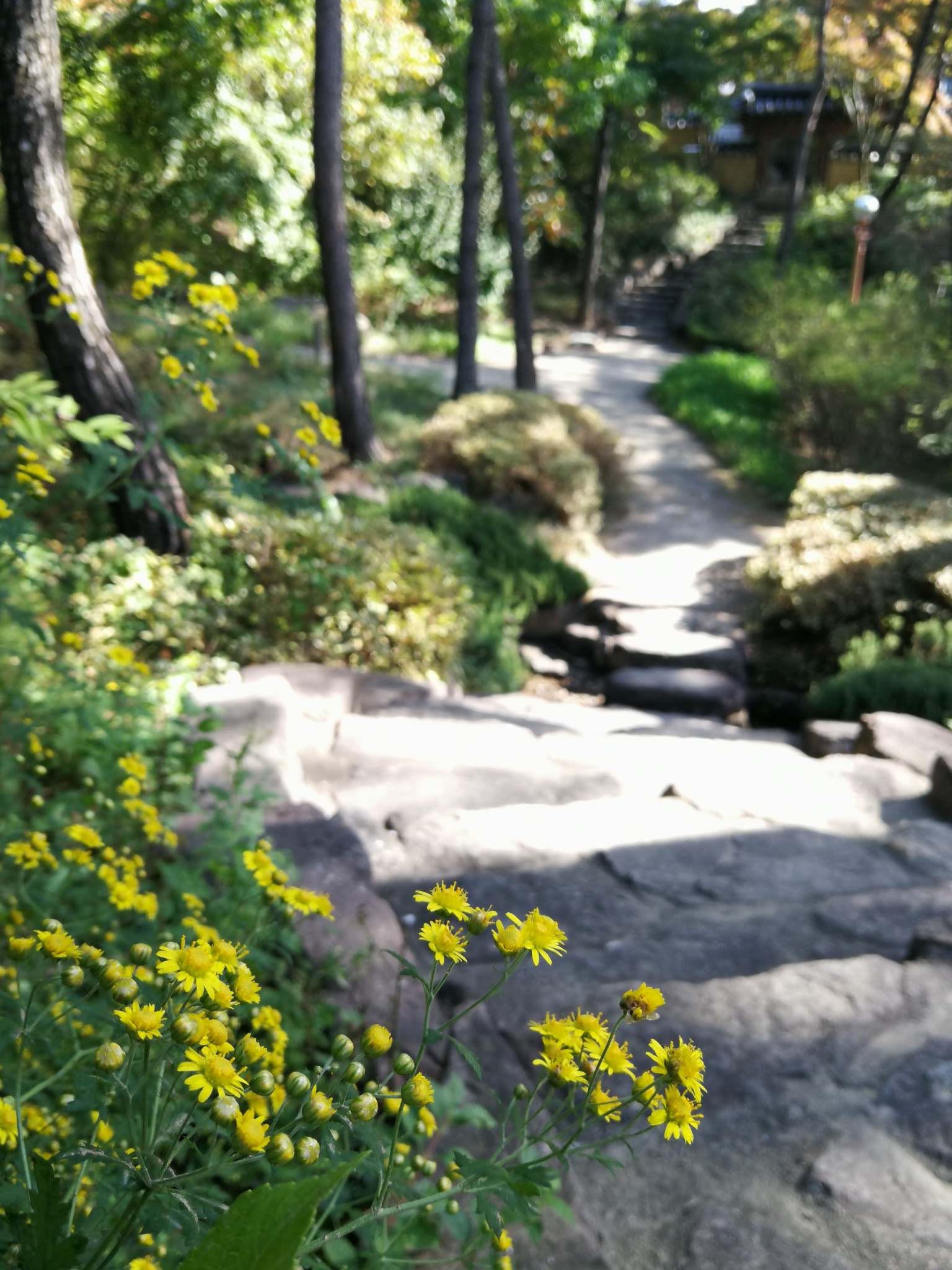 釜山自助遊攻略