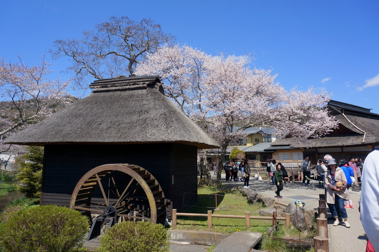 東京自助遊攻略