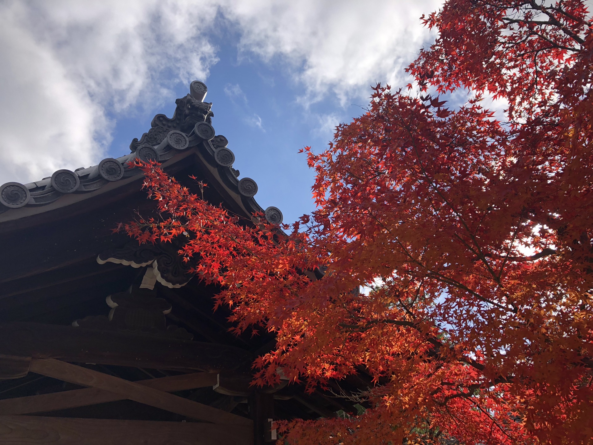 京都自助遊攻略